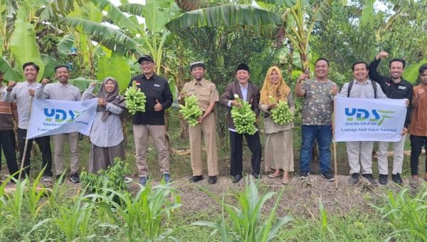 YDSF Panen Pisang Program Zakat Produktif