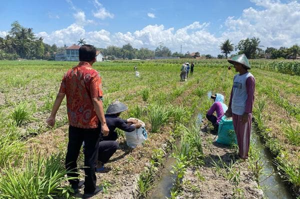 Cabup Bantul Untoro Hariadi Siap Tingkatkan Kesejahteraan Petani