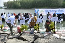 Pj Gubernur Aceh dan Kepala BNPB Tanam 2.600 Bibit Mangrove Rihzophora di Kuala Cangkoi