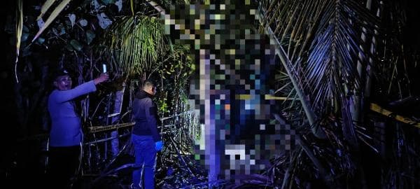 Gempar, Pria di Pidie Jaya Ditemukan Tewas Tergantung di Pohon Kelapa, Polisi akan Dalami Kasusnya