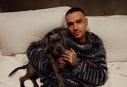 Liam Payne, Mantan Personel One Direction Meninggal Dunia di Argentina