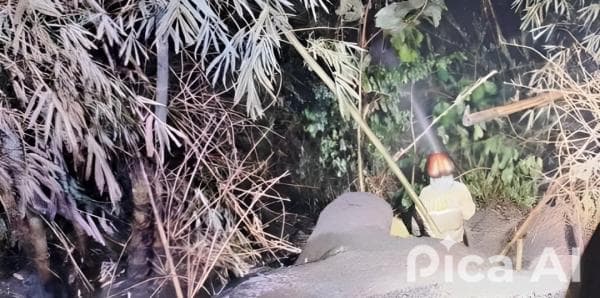 Euforia HUT Kota Batu, Diwarnai Kebakaran Lahan dan Pohon Tumbang