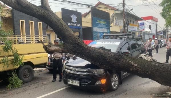 Peristiwa Hari Ini, Pohon Tumbang Menimpa Mobil Travel di Depan Satlantas Ponorogo