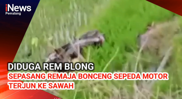 Video: Diduga Rem Blong, Sepeda Motor Dibonceng Sepasang Remaja Terjun ke Sawah