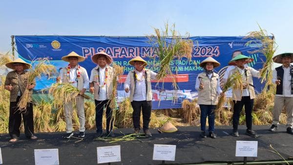 Program Makmur Pupuk Indonesia Tingkatkan Produksi Padi di Subang Hingga Dua Kali Lipat