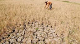 Petani di Banyusari Sulit Dapat Air, 200 Hektare Sawah Terlambat Cocok Tanam