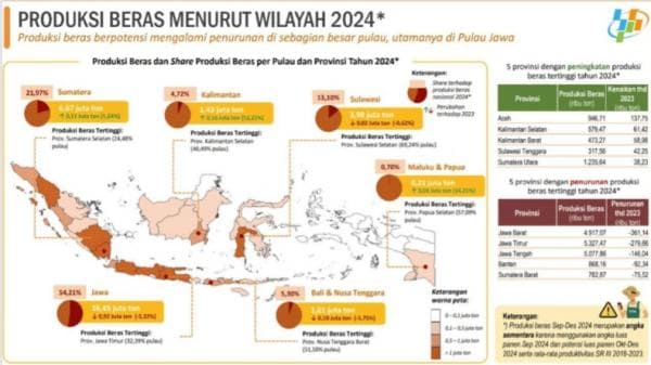 Hadapi El Nino, Sultra Justru Peringkat ke-4 Produksi Beras Tertinggi Nasional 2024