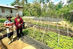 Sulaiman Agusto Dorong Produktivitas Petani Nilam di Bangunemo dengan Alat Modern