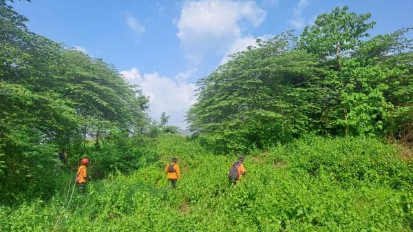 Tim SAR Gabungan Cari Kakek di Brebes yang Diduga Hilang di Tengah Ladang