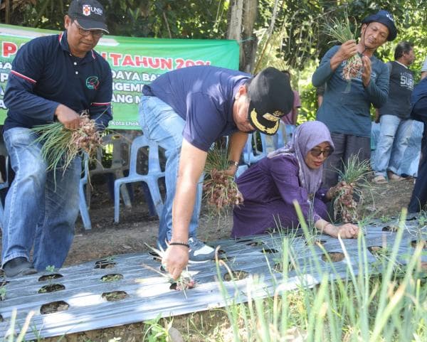 Panen Bawang Merah, Pj Wali Kota Lhokseumawe Produksi Tanpa Bahan Kimia Kualitas Lingkungan Terjaga