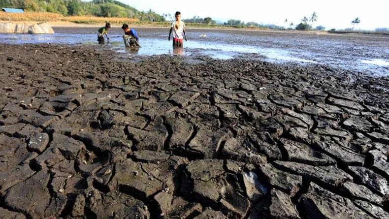 BMKG Catat 26 Wilayah Tak Diguyur Hujan 2 Bulan Lebih, Jakut dan Bekasi 73 Hari