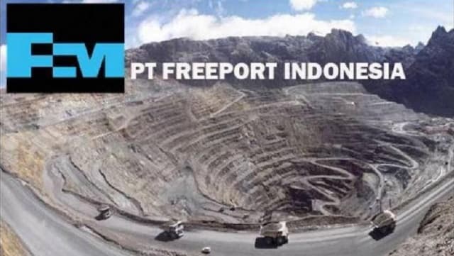 Negosiasi Divestasi 10 Persen Saham Freeport Indonesia Belum Rampung, Ini Penjelasannya