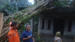 Hujan Disertai Angin Kencang hingga Pohon Tumbang, 6 Rumah di Bogor Rusak