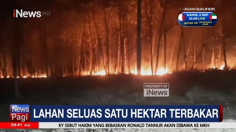 Lahan Seluas 1 Hektar di Bojonegoro Terbakar, Diduga Sengaja Dibakar Seseorang 