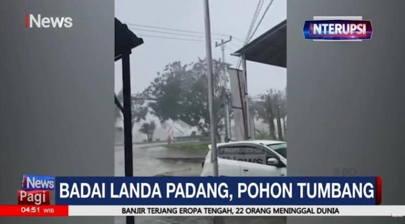 Hujan Disertai Angin Kencang di Padang, Sejumlah Pohon Tumbang