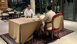 Jokowi dan Prabowo Disebut Bahas PDIP saat Makan Malam, Ini Kata Istana