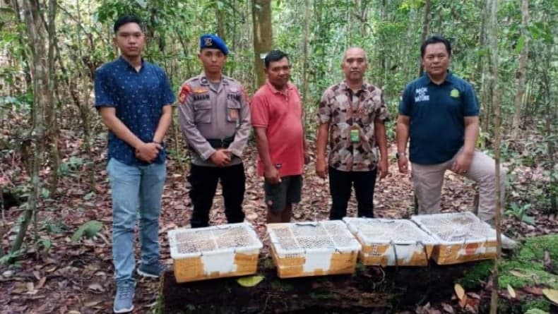 Patroli, Ditpolairud Polda Jambi Amankan 4 Kotak Berisi Puluhan Burung Pelatuk