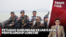 Detik-Detik Petugas Gabungan Kejar Penyelundup Benih Lobster di Perairan Bintan