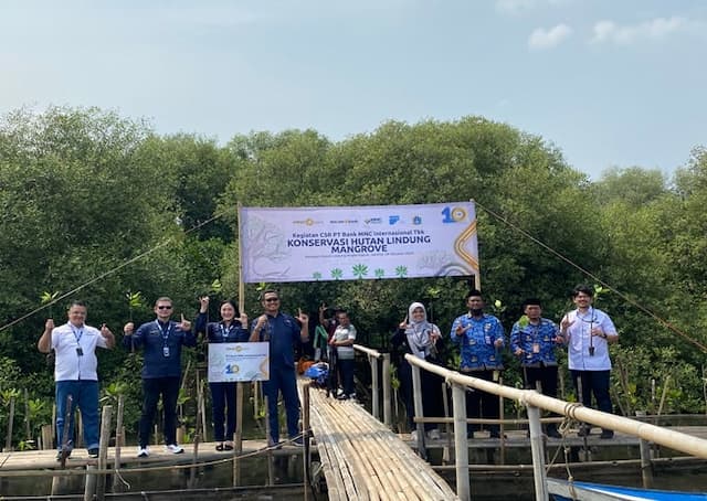 MNC Bank Wujudkan Sustainability Development Goals Lewat Konservasi Hutan Mangrove