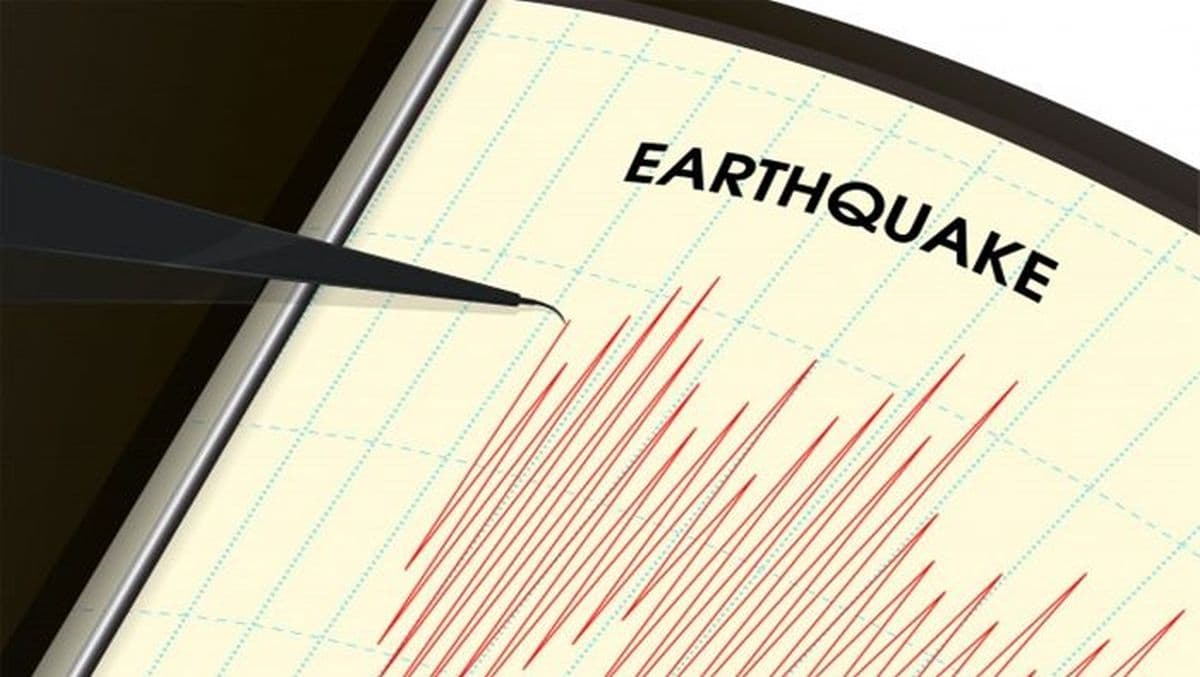 Gempa Magnitudo 5,2 Guncang Labuhan Malut, Getaran Terasa hingga Pulau Obi