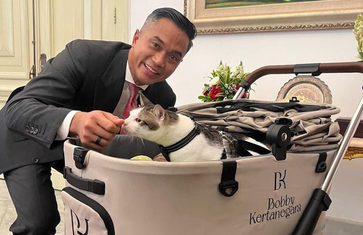 Gemes, Kucing Kesayangan Prabowo, Bobby Kertanegara Ikut Masuk Istana