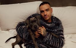 Terungkap, Liam Payne Konsumsi Kokain Sebelum Meninggal Dunia