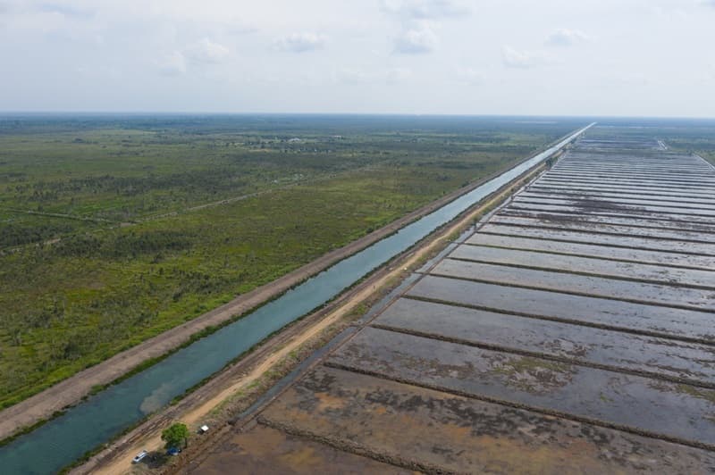  Perkuat Ketahanan Pangan, Pemerintah Gencarkan Program Cetak Sawah