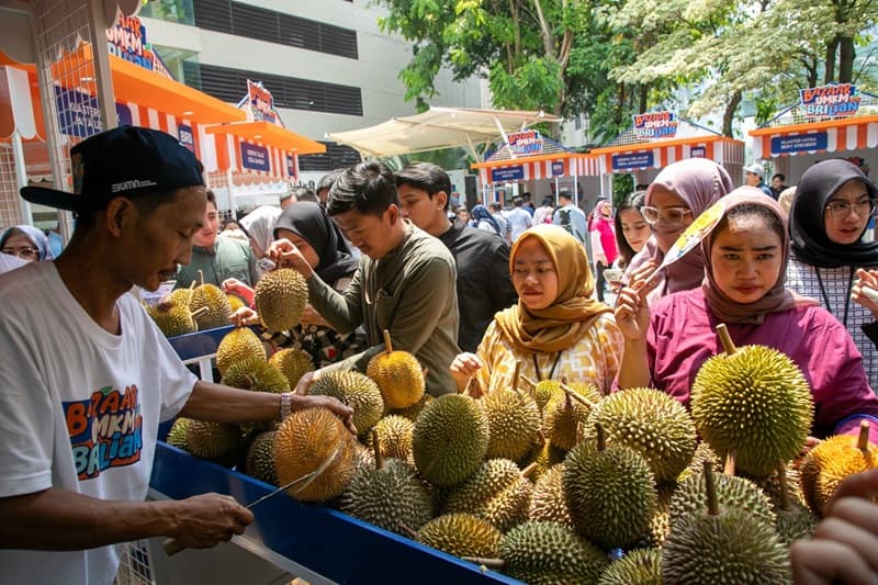 Klaster Durian di Pekalongan Makin Tumbuh Berkat Dukungan BRI