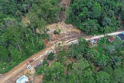 10 Negara Dengan Hutan Terluas di Dunia, Indonesia Posisi Berapa?