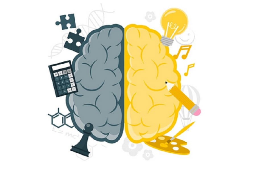 Daftar 10 Negara dengan Skor IQ Terendah di Dunia 2026