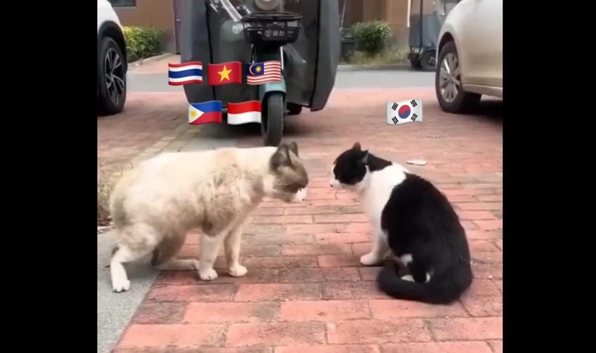 Heboh Perang KNetz dan SEAblings, Nama RM BTS hingga Baskara Mahendra Terseret