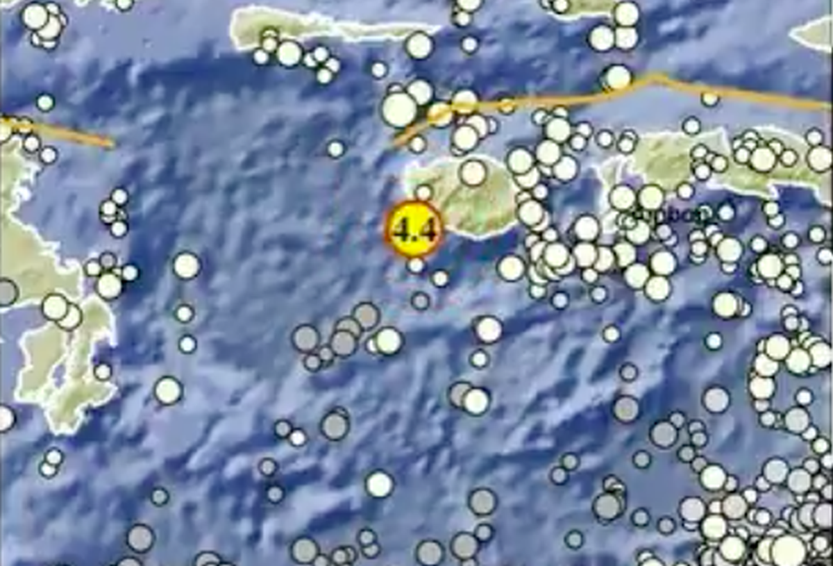 Gempa M4,4 Guncang Buru Maluku, Tidak Berpotensi Tsunami