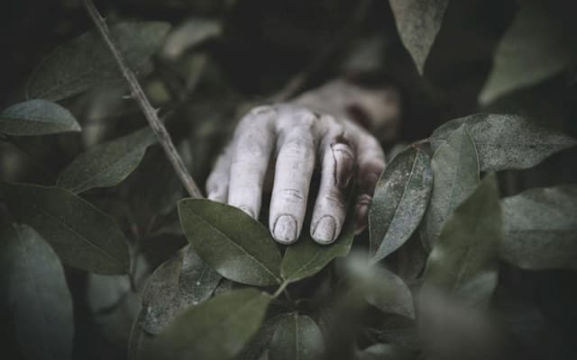 Geger! Mayat Tanpa Identitas dengan Luka Leher Mengapung di Sungai Jombang