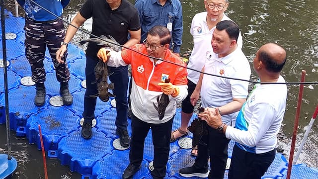 Buru Ikan Sapu-Sapu di Aliran Kali Jakut, Total Tangkapan 200 Kg!