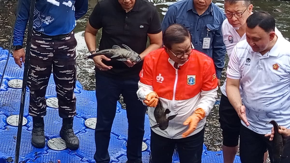 Pramono Bakal Tugaskan PJLP Khusus Buru Ikan Sapu-Sapu