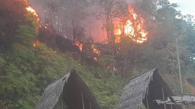BNPB : 379,76 Hektare Lahan di Kalteng Terbakar sejak Januari 2026
