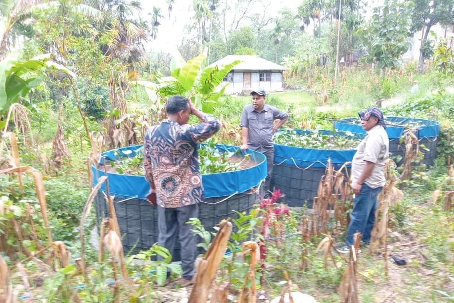 Lele Bioflok Siap Panen, Marthen Natonis Perkuat Ekonomi Kerakyatan di TTS