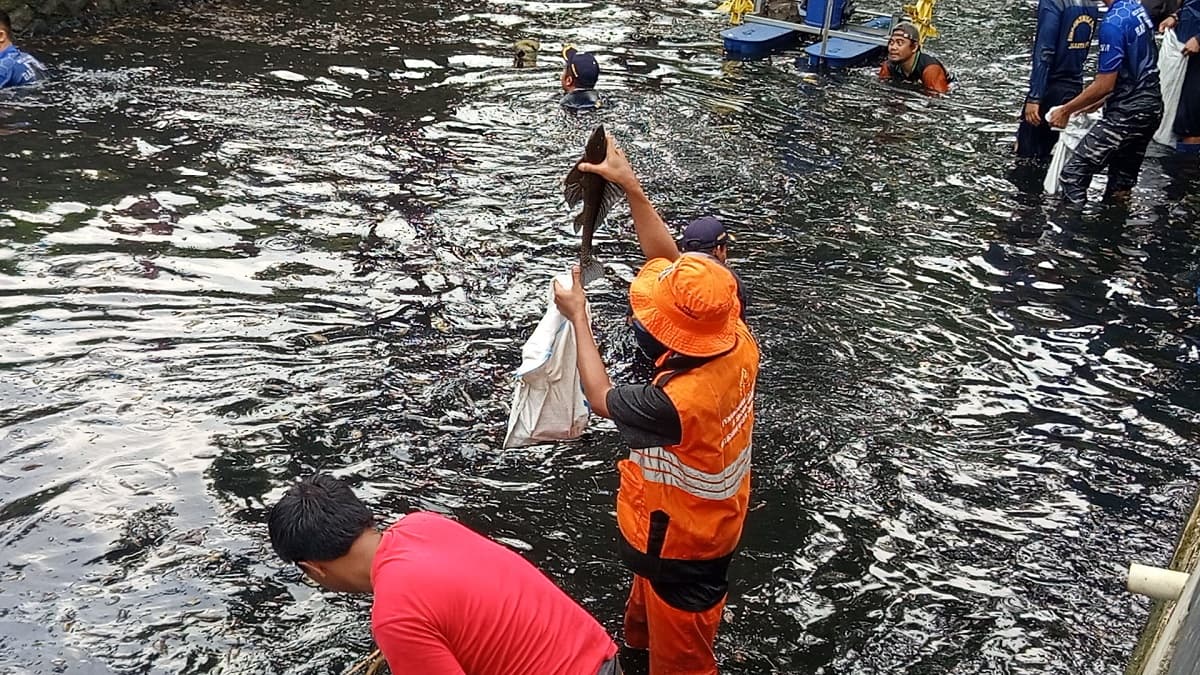 Lima Penjual Daging Ikan Sapu-sapu Ditangkap di Bantaran Kali Jakpus