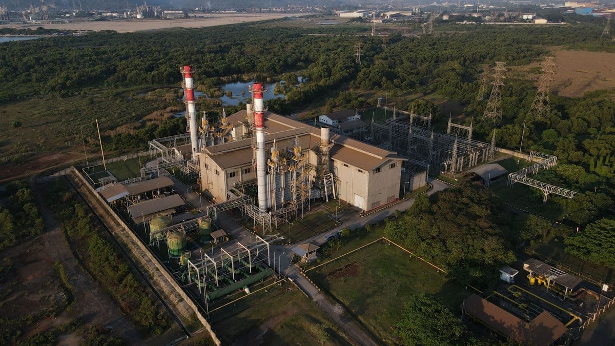 CDIA, Emiten Prajogo Pangestu Kantongi Pendapatan Rp712,7 Miliar di Kuartal I-2026