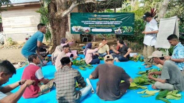 WRI Indonesia Fasilitasi Pelatihan Teknis Pembibitan Kakao dan Sambung Pucuk