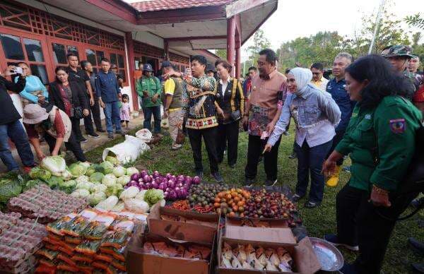 Pj Ketua PKK Sulbar Kunjungi Gerakan Pangan Murah di Nosu, Warga Antusias Berbelanja