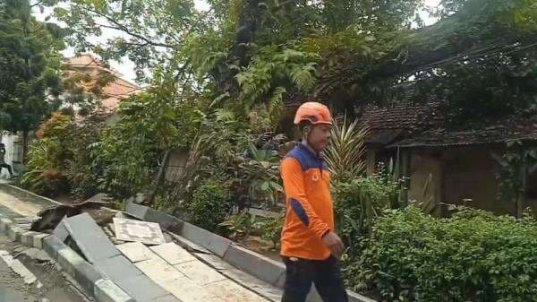 Hujan Deras, Pohon Besar Tumbang Timpa Asrama Polisi di Rangkasbitung Lebak