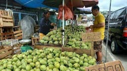 Malingping 'Banjir' Mangga, Buruan Borong! Ini 5 Manfaat Makan Buah Mangga untuk Kesehatan