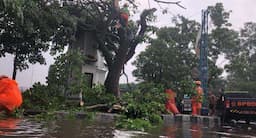 BPBD Tasikmalaya Ingatkan Warga Waspada Cuaca Ekstrem, Hindari Berteduh di Bawah Pohon Lapuk