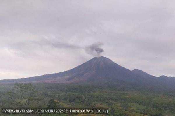 Gunung Semeru Erupsi Beruntun Hari Ini, Kolom Abu Tertinggi Capai 1.100 Meter