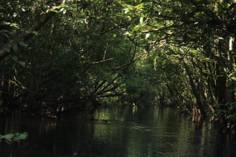 Menhut Segel Empat Subjek Hukum yang Diduga Jadi Biang Kerok Banjir Sumatera