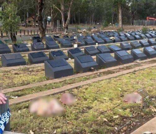 Pemakaman Muslim Sydney Divandalisme dengan Kepala Babi, Diduga Balasan Penembakan Bondi