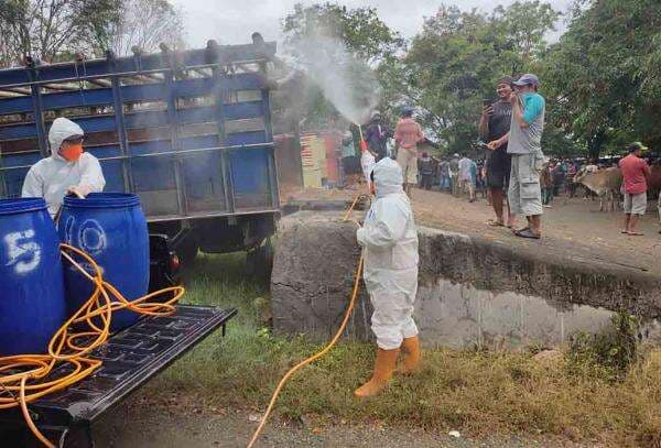 Penyakit Mulut dan Kuku Merebak di Jateng: Ada 2.026 Kasus, Puluhan Hewan Ternak Mati