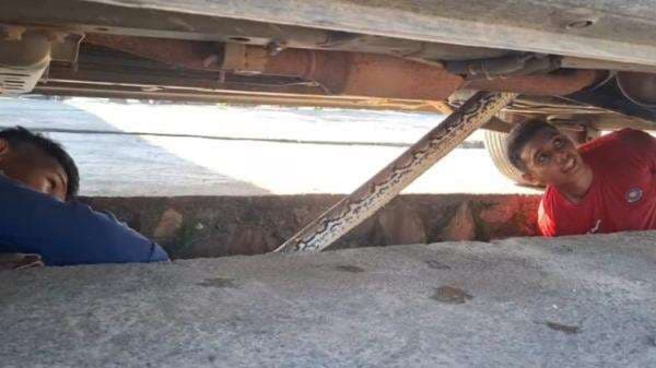 Ular Panjang Tiga Meter Dievakuasi dari Minibus di Kendari Ular Panjang Tiga Meter Dievakuasi dari Minibus di Kendari