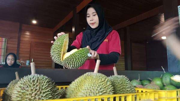 Resto Saoraja Depok Sajikan Durian Jatuhan Langsung dari Kebun, Pencinta Durian Wajib Coba!